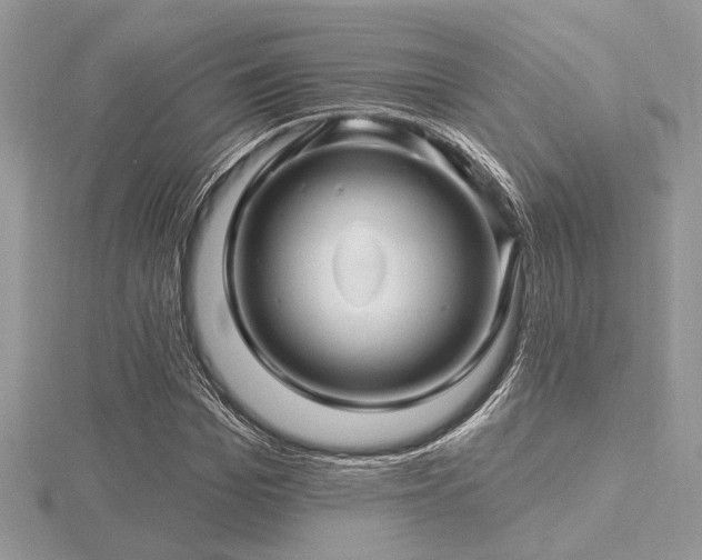 X0000116490969200912091417