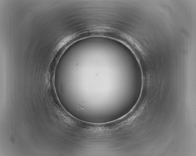 X0000116490970200912091417