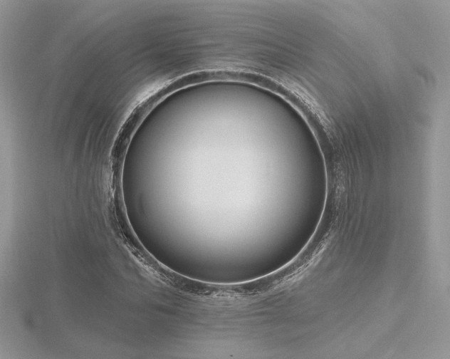 X0000116490974200912091417