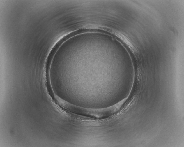 X0000116490976200912091417