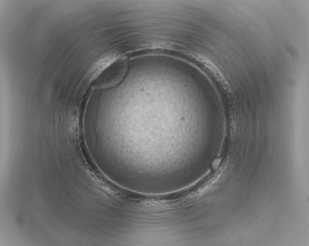 X0000116490977200912091417