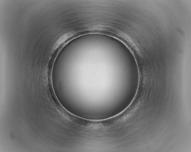 X0000116490978200912091417