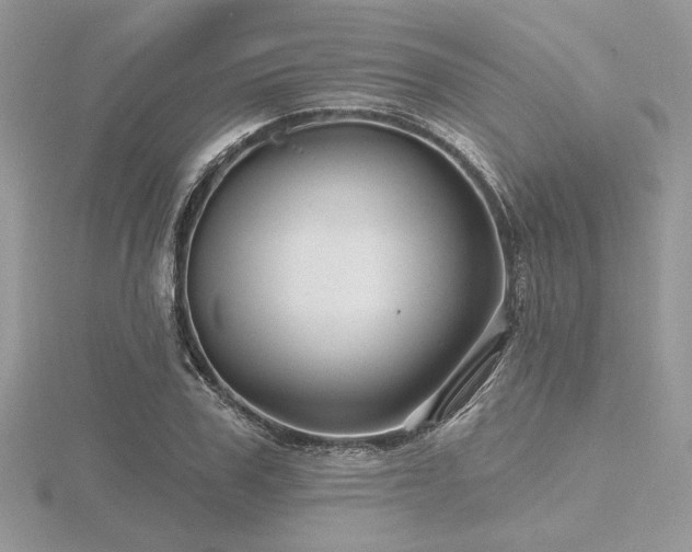 X0000116490979200912091417