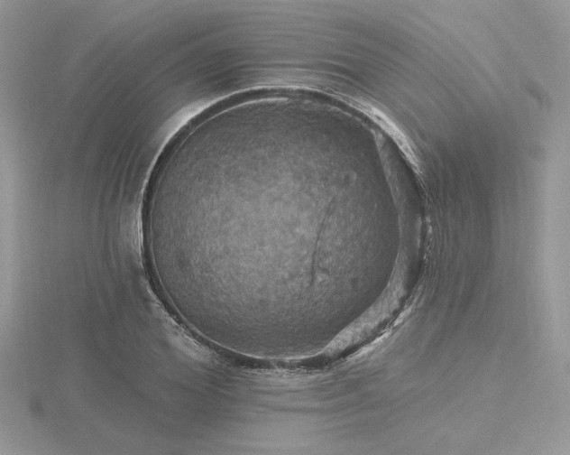 X0000116490980200912091417