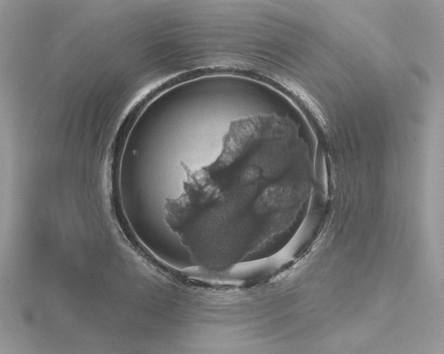 X0000116490983200912091417