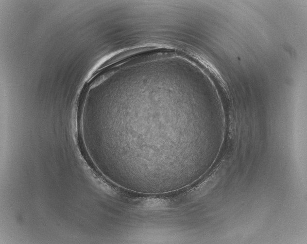 X0000116490984200912091417