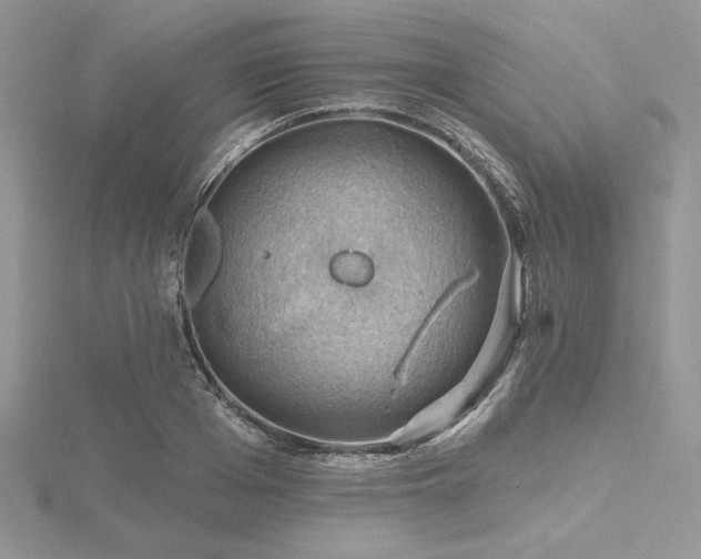 X0000116490985200912091417