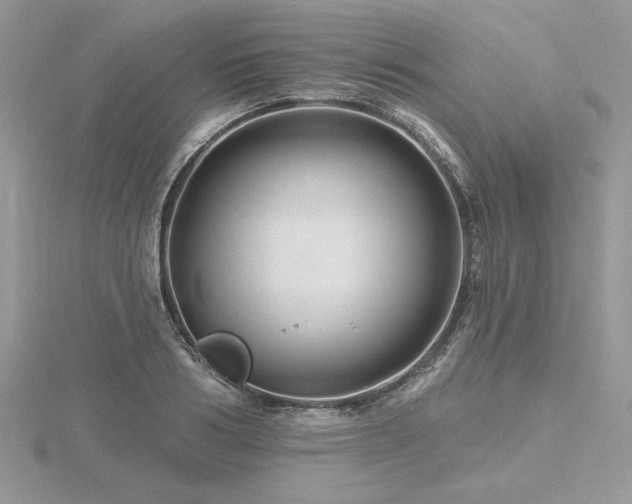 X0000116490986200912091417