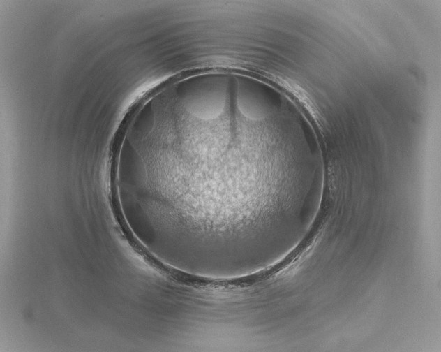 X0000116490987200912091417