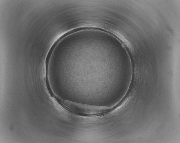 X0000116490988200912091417