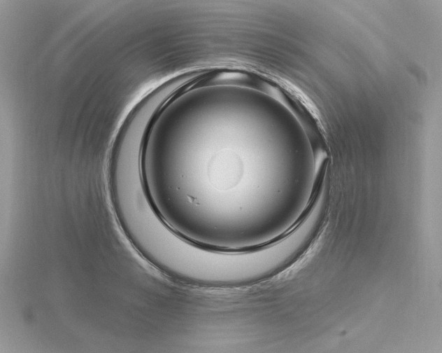 X0000116490989200912091417