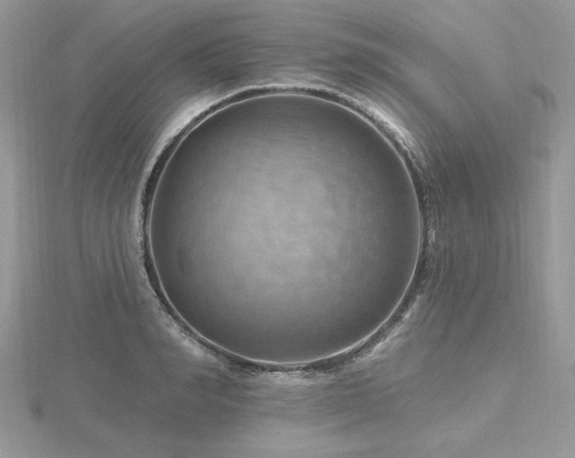 X0000116490990200912091417