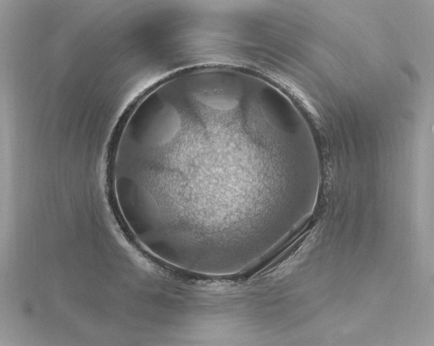 X0000116490991200912091417