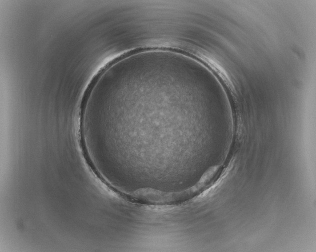 X0000116490992200912091417