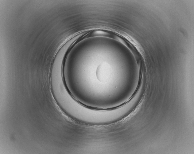 X0000116490993200912091417