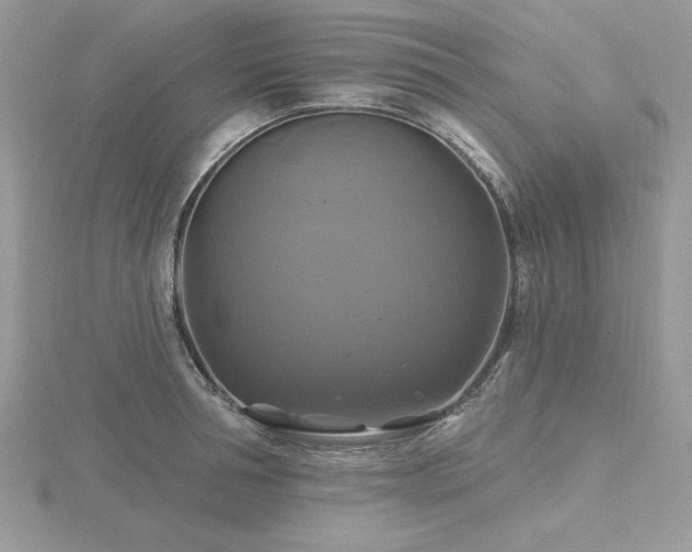 X0000116490994200912091417