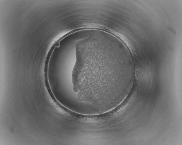 X0000116490995200912091417