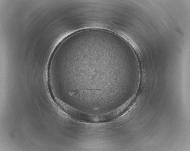 X0000116490996200912091417