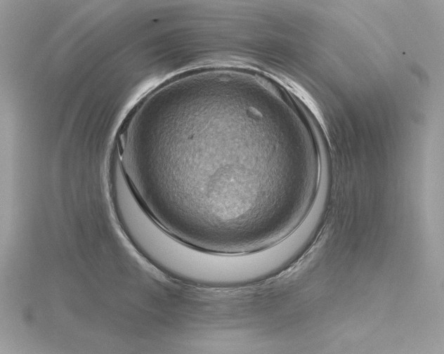 X0000116490997200912091417