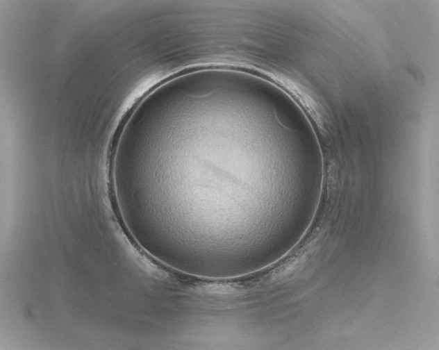 X0000116490998200912091417