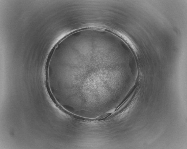 X0000116490999200912091417