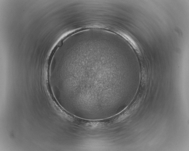 X0000116491000200912091417