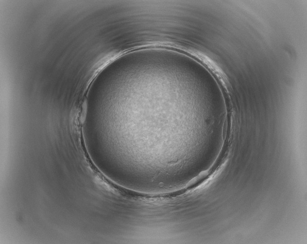 X0000116491001200912091417