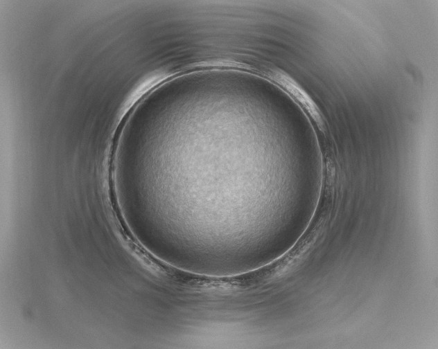 X0000116491002200912091417