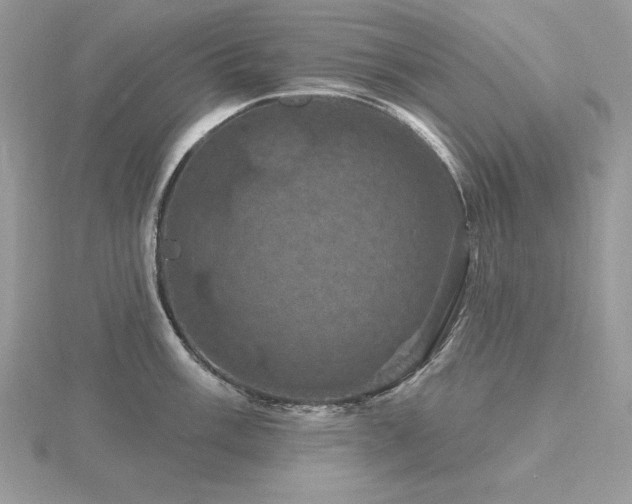 X0000116491003200912091417