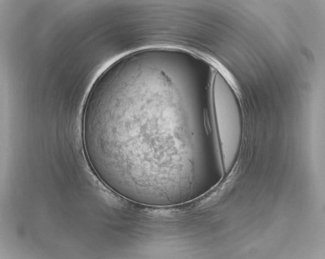 X0000116491004200912091417