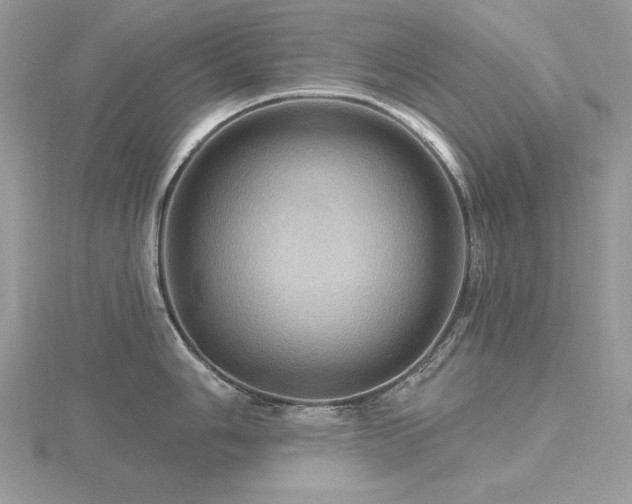 X0000116491006200912091417