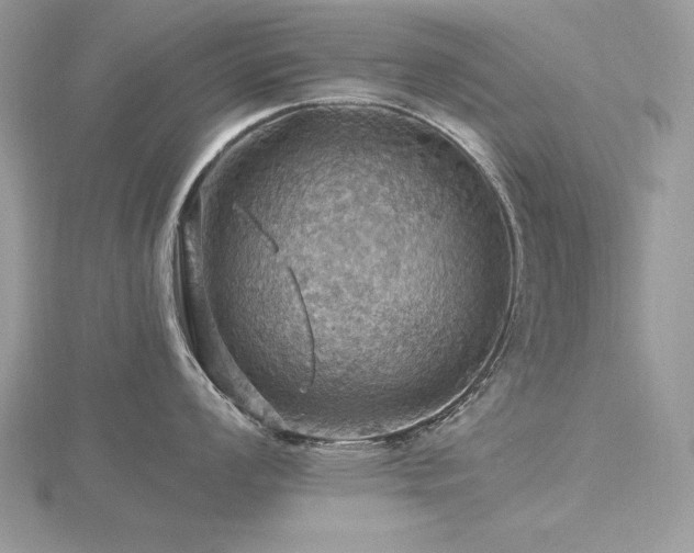 X0000116491008200912091417