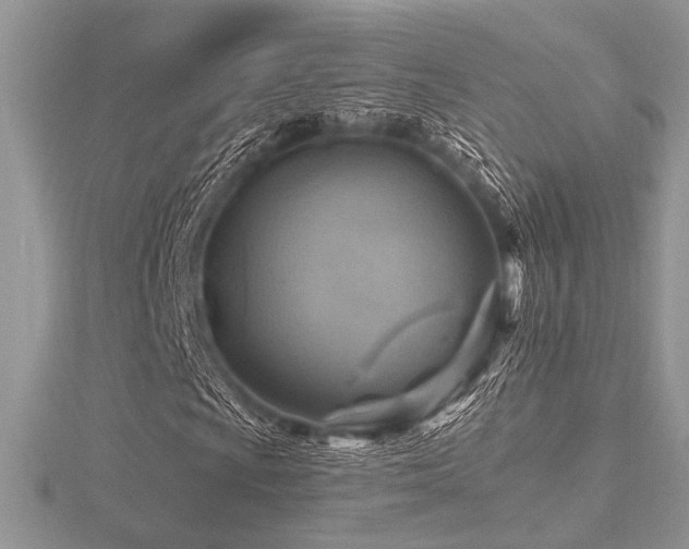 X0000116491009200912091416