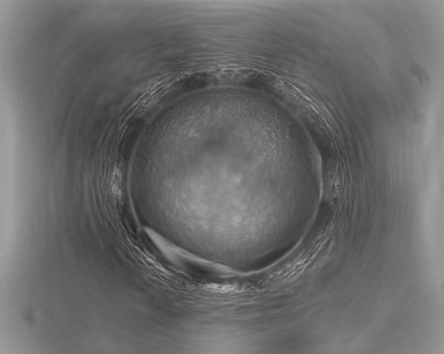 X0000116491010200912091416