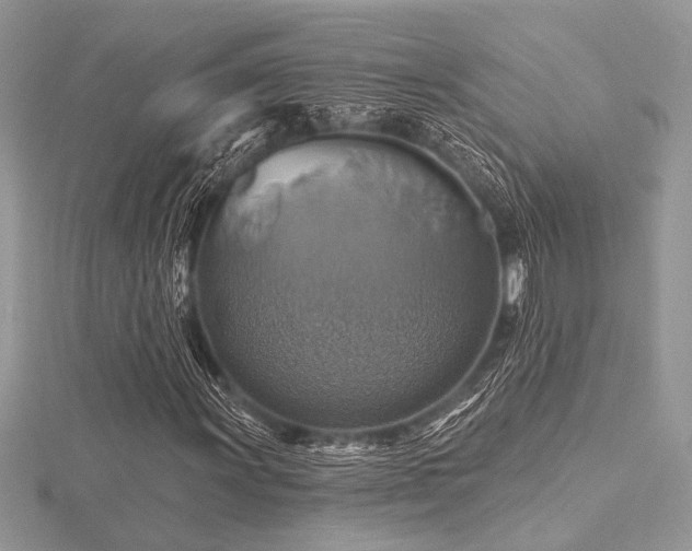 X0000116491011200912091416