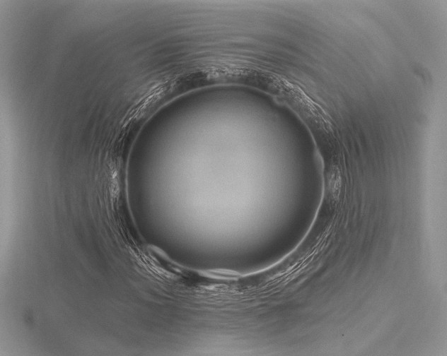 X0000116491012200912091416