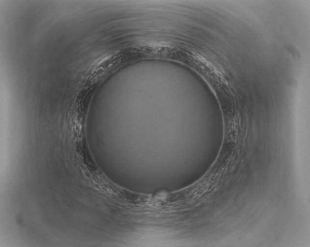 X0000116491013200912091416