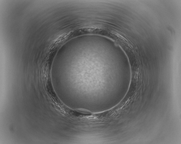 X0000116491014200912091416