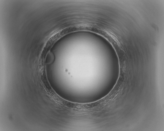 X0000116491015200912091416