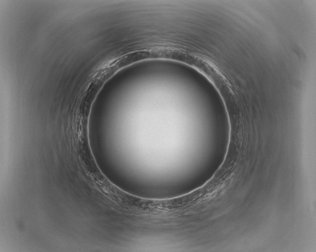 X0000116491016200912091416