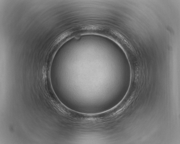 X0000116491017200912091416