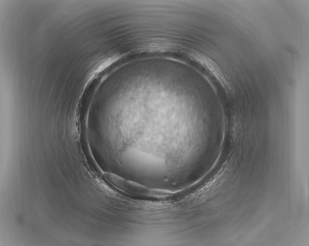 X0000116491018200912091416