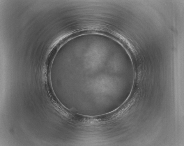 X0000116491019200912091416