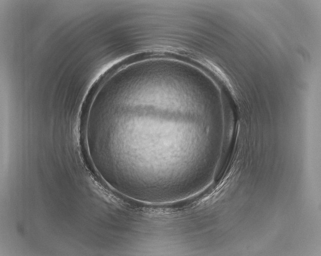 X0000116491020200912091416