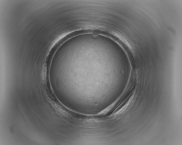 X0000116491021200912091416