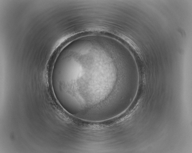 X0000116491022200912091416