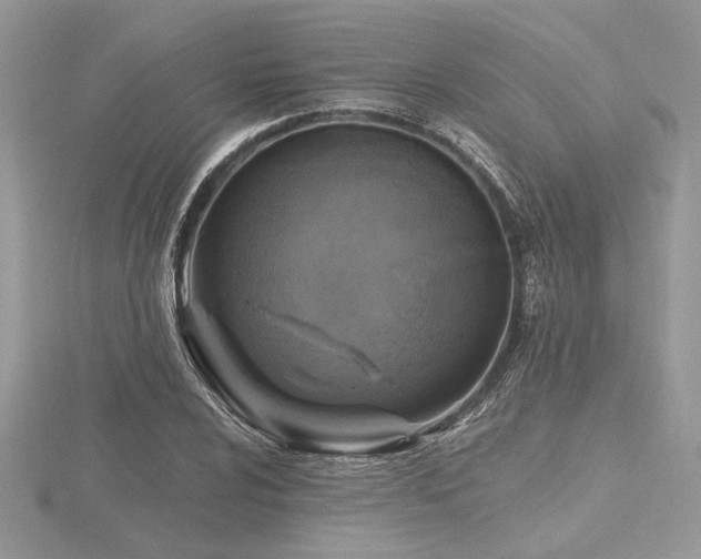 X0000116491024200912091416