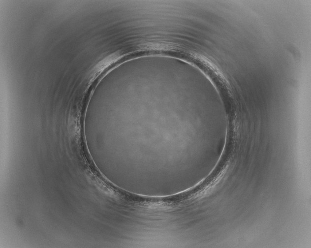 X0000116491025200912091416