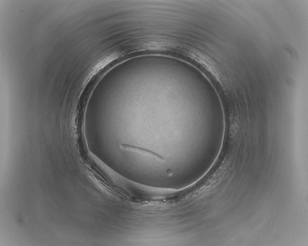 X0000116491026200912091416