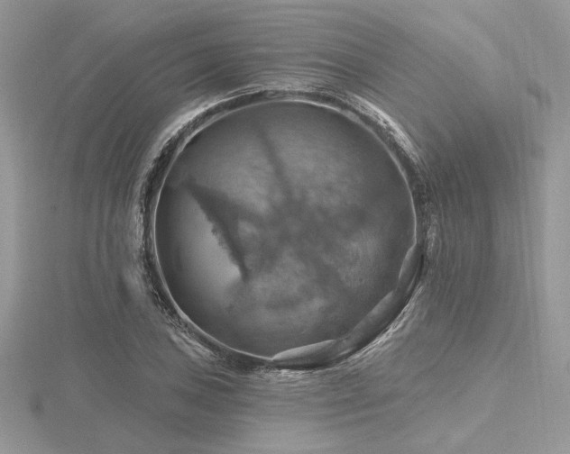 X0000116491027200912091416